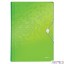 Teczka z 6 przegródkami PP Leitz WOW, zielona 45890054