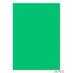Brystol A3 170g zielony 3517 3042-5