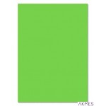 Brystol A3 170g, j.zielony (25) 3517 3042-50