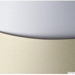 Karton ozdobny ATLANTA kremowy (20) 203202 ARGO 230g/m