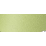 Karton ozdobny HOLLAND zielony 220g. 200514 ARGO