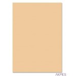 Brystol kolor.A4 JOY chamois HA 3517 2130-45