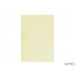 Karton wiz.A4 kratka ecrue W41(20)246g