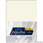 Karton wiz.A4 246g DZ101-C(25) MICHALCZYK I PROKOP